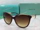 AAA Copy TF Replica Sunglasses - Black&Gold Frame - Fashion Sunglasses (3)_th.jpg
